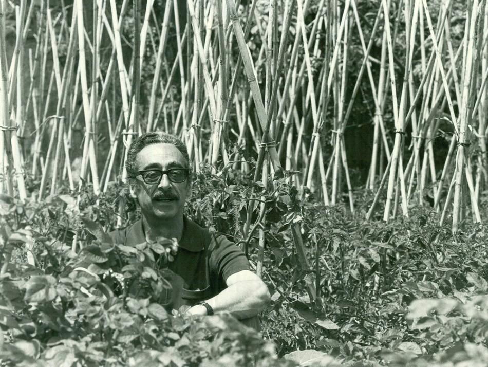 Manuel de Pedrolo a l'hort de Tàrrega l'any 1979