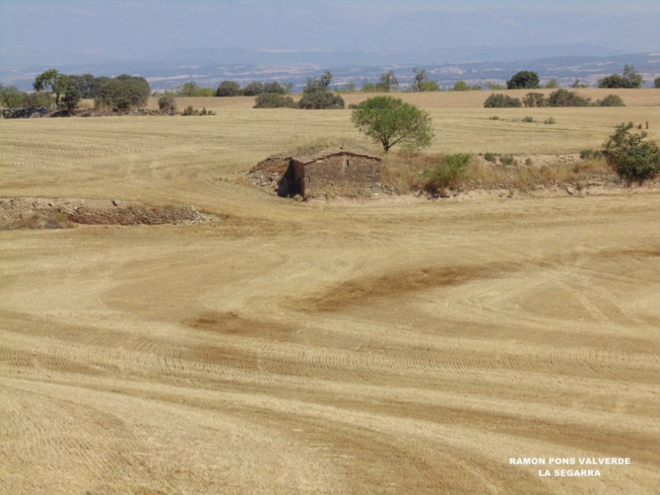 Paisatge de La Segarra