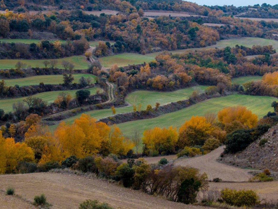 Paisatge de La Segarra