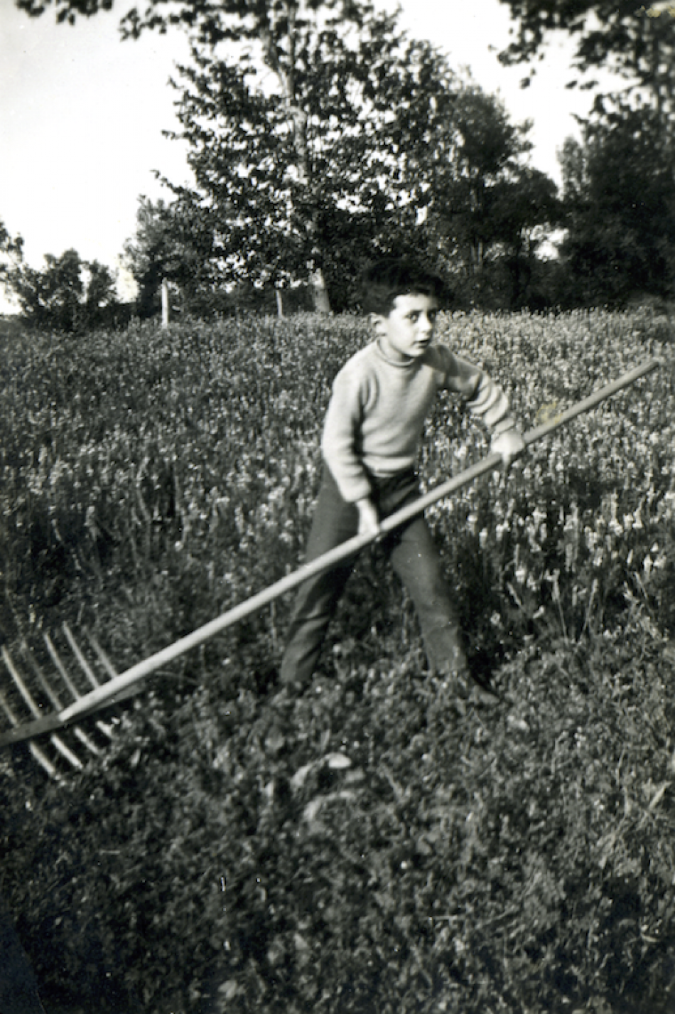 Miquel Pairolí jugant amb una forca en un camp del voltant de casa seva, a Palol. Any 1964. Arxiu: Fina Pairolí.